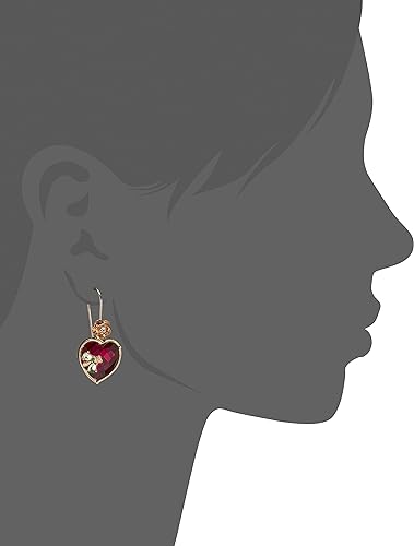 Womens Stone Heart Dangle Earrings